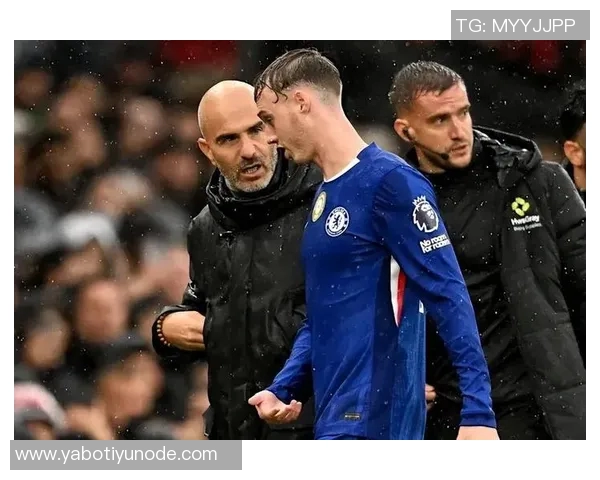 切尔西伤病情况更新九人缺阵帕尔默等六人预计下轮复出